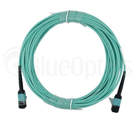 BlueOptics 00VX005-IB-BO, 30 m, MTP, MTP, naarasliitin