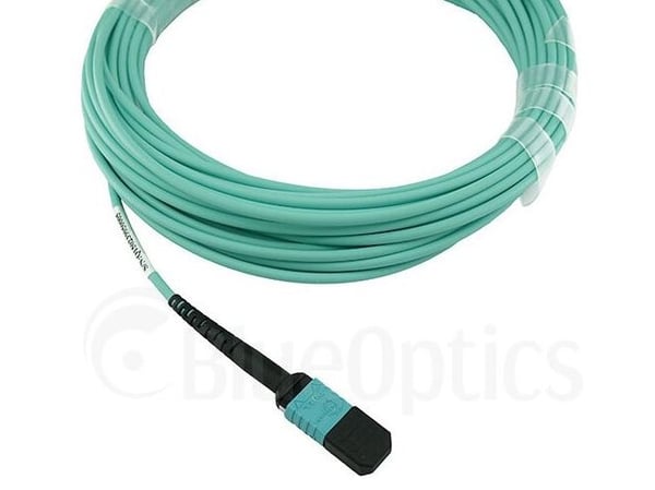 BlueOptics QSRCABLE30M-BO, 30 m, OM3, MPO, MPO, MPO