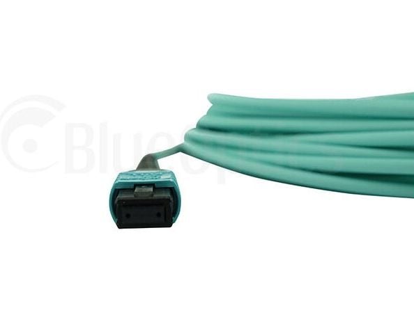 BlueOptics QSRCABLE30M-BO, 30 m, OM3, MPO, MPO, MPO