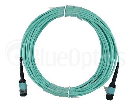 BlueOptics QSRCABLE30M-BO, 30 m, OM3, MPO, MPO, MPO