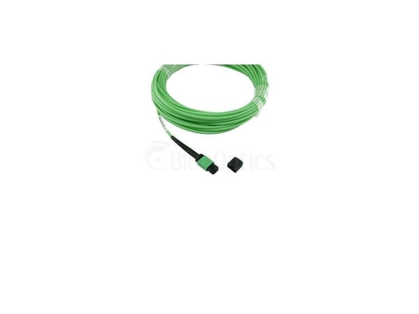 BlueOptics SFP5141GU10MKB, 10 m, OM5, MPO, 4x LC