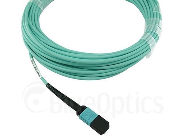BlueOptics 00VX005-BN-BO, 30 m, MTP, MTP, Hankjønn/hankjønn