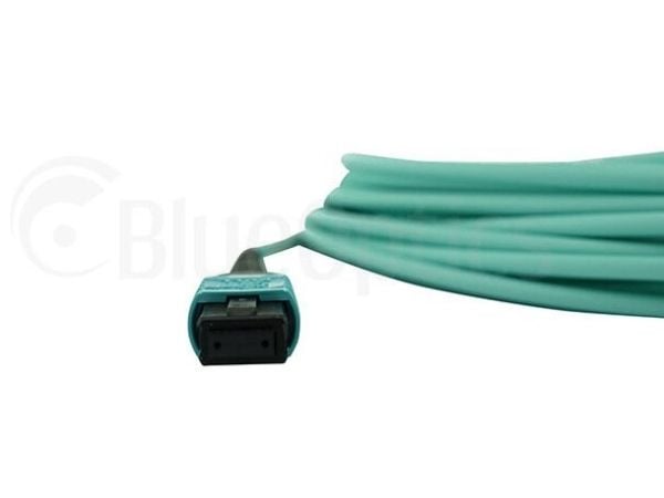 BlueOptics 00VX005-BN-BO, 30 m, MTP, MTP, Hankjønn/hankjønn