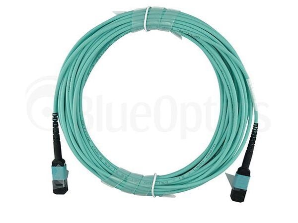 BlueOptics 00VX005-BN-BO, 30 m, MTP, MTP, Hankjønn/hankjønn