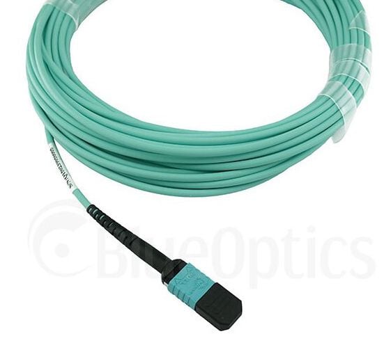 BlueOptics 00VX005-BO, 30 m, MTP, MTP, MTP, Hanstik/Hanstik