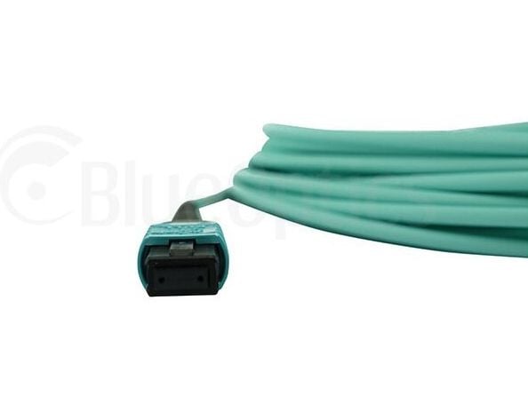 BlueOptics 00VX005-BO, 30 m, MTP, MTP, MTP, Hanstik/Hanstik