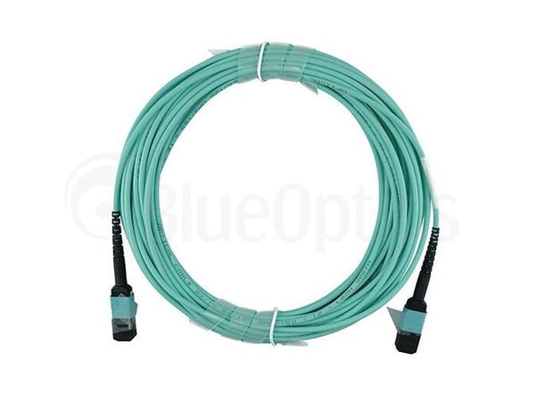 BlueOptics 00VX005-BO, 30 m, MTP, MTP, MTP, Hanstik/Hanstik