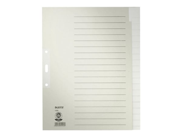 LEITZ duggpapirmapper, blanke, A4 overstørrelse, 20-delt grå, 100 g/m², perforering: 80 mm, med hullforsterkning av (1220-00-85)