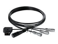 Blackmagic Design Pocket Camera DC Cable Pack, 0,65 m, Musta, Naaras