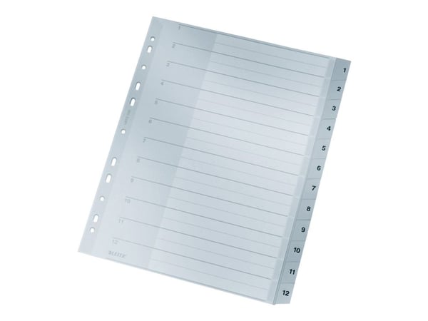Leitz 12820000, Numeroitu välilehtihakemisto, Pahvi, Harmaa, A4, 250 g/m², 238 mm