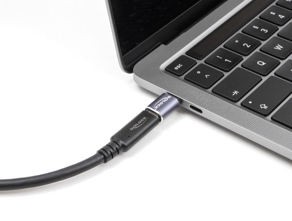 Delock - USB-adapter - USB-C (hann) til USB-C (hunn) - Thunderbolt 4 - 48 V - 5 A - up to 40 Gbps data transfer rate, USB Power Delivery (240 W), s...