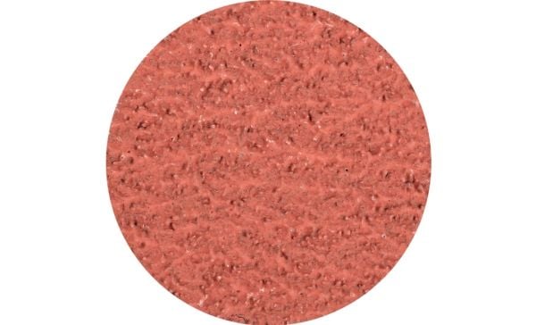 PFERD 42772503, Slipeskive, Universell, 13000 RPM, Rund, 5 cm, 100 stykker