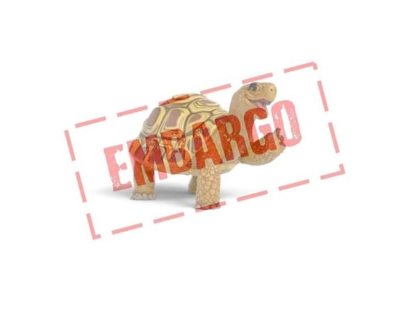 Schleich Henrietta the turtle