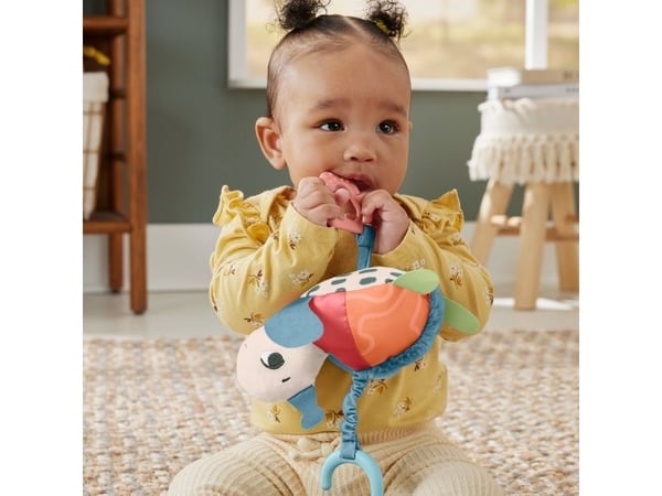 Fisher Price PlanetPals Sea Me Bounce Turtle