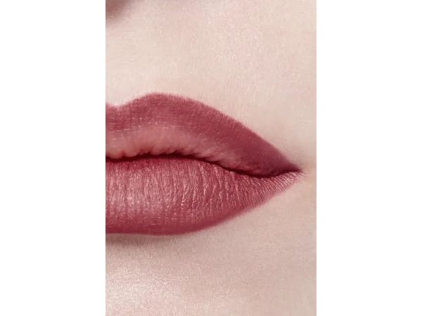 Chanel Le Crayon Levres 172 Lip Liner Bois Rose