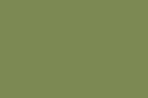 Vallejo Model Color Bright Green 70.758 (18 ml)