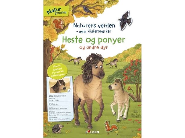 Hester og ponnier