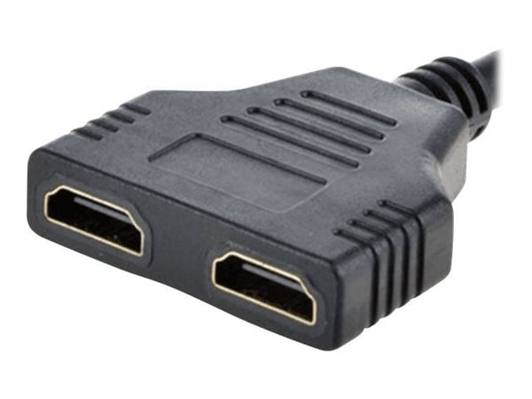 Cablexpert DSP-2PH4-04 - HDMI-jakaja - HDMI-liitin HDMI-vastaanottimeen - suojattu - passiivinen