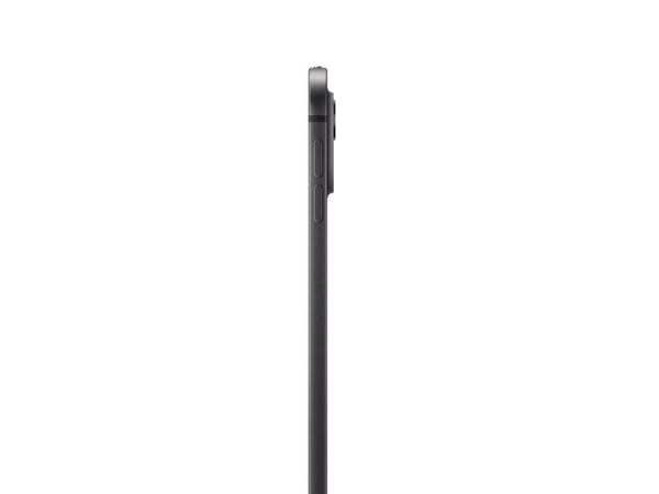 Apple 13-inch iPad Pro M4 Wi-Fi - Surfplatta - 256 GB - 13" Tandem OLED (2752 x 2064) - med standardglas - space black
