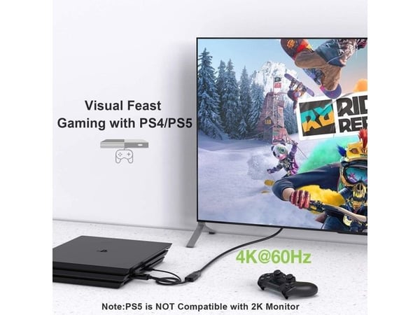 TECHly - Video adapter - HDMI hann til DisplayPort, USB (kun strøm) - svart - 4 Kx2K60 Hz-støtte