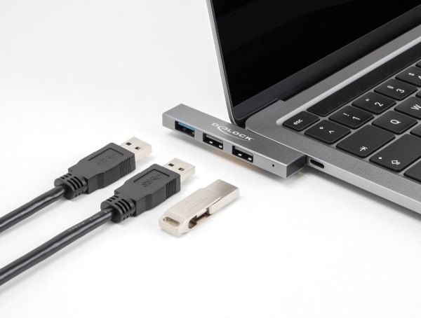 Delock - Hub - slim, 10 Gbps, with USB Type-C - 1 x USB 3.2 Gen 2 + 2 x USB 2.0 - pinne