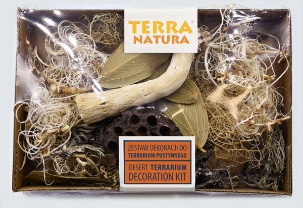 Terra Natura aavikkoterraarion koristelu