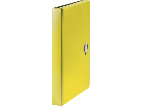 Leitz 46240015, 250 arkkia, Keltainen, Polypropeeni (PP), A4, Climate Neutral, 240 mm