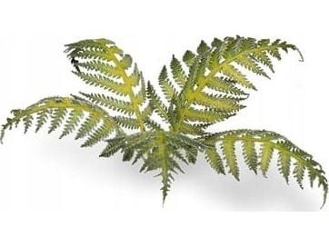 Gamers Grass: Laser Plants - Bracken - Paproc Gamers Grass: Laser Plants - Bracken - Paproc