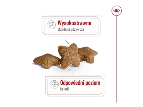 ROYAL CANIN Adult Mini S - tørfoder til hunde - 8kg