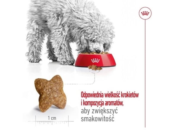 ROYAL CANIN Adult Mini S - tørfoder til hunde - 8kg