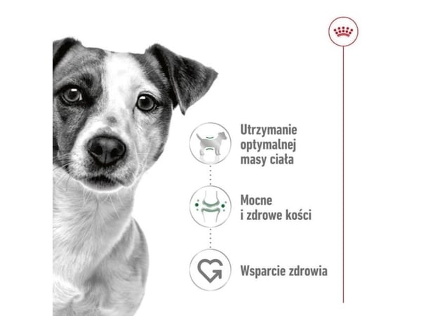 ROYAL CANIN Adult Mini S - tørfoder til hunde - 8kg