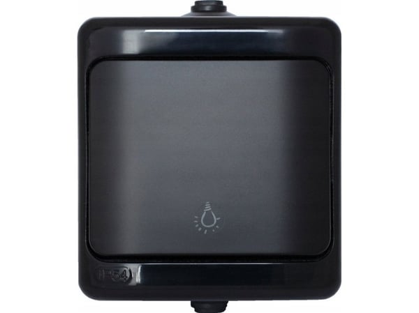 BRYZA Valopainike IP54 10AX 250V musta 180903