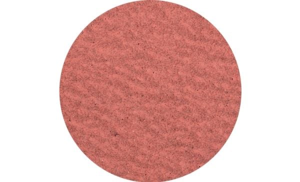 PFERD 42772506, Slipeskive, Universell, 13000 RPM, Rund, 5 cm, 100 stykker
