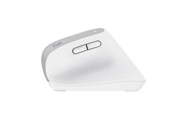 Trust Bayo+ - Vertikal mus - ergonomisk - multienhet - høyrehendt - optisk - 6 knapper - trådløs - 2.4 GHz, Bluetooth - USB trådløs mottaker - hvit