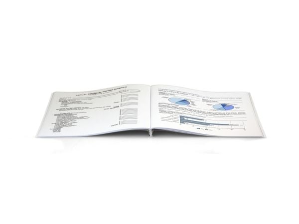 Peleman A4 V-papir margin falset/lig fladt 120g P 250 ark
