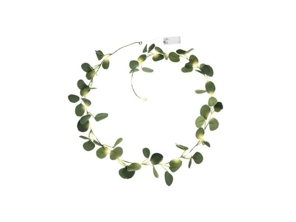 LED Eukalyptus seppele