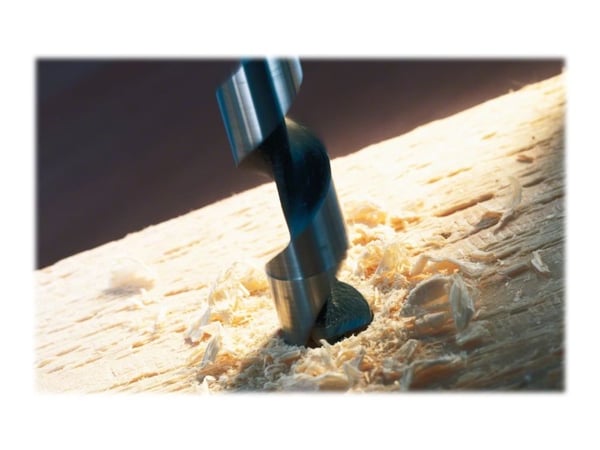 Bosch Professional - Bor - for tre, bløtt tre, løvtre - vribordel - 20 mm - heksagonal - lengde: 450 mm