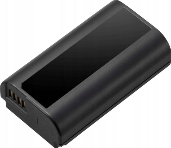 Panasonic DMW-BLJ31 - Batteri - Li-Ion - 3100 mAh - 23 Wh - for Lumix DC-S1M, S1, S1H, S1M, S1R, S1RM