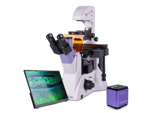 MAGUS Lum VD500 LCD fluorescens inverterat digitalmikroskop