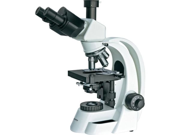 Bresser Optics BIOSCIENCE 40-1000X, Digitalt, Sort, Hvit, 1000x, 40x, Halogen, AC