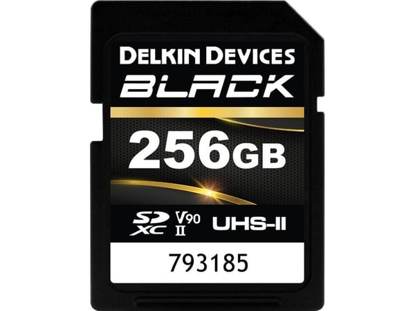 Minnekort Delkin SDXC Black Rugged UHS-II R300/W250 (V90) 256GB (ny)