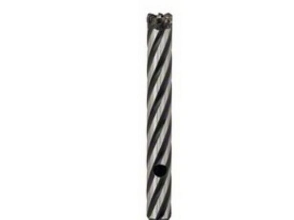 Bosch ARMERING BOR SDS-PLUS Ø16X150/300MM
