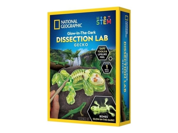 National Geographic Gecko Dissection Lab - laboratorio