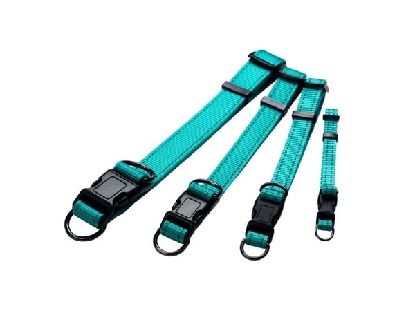 Dogman Nylonhalsband Iris Ställbart Turkos Xl