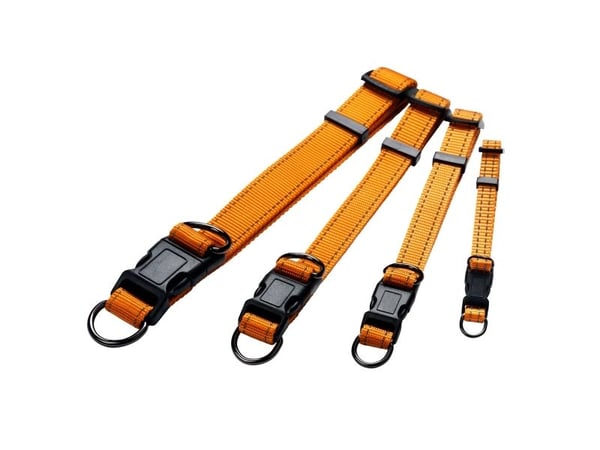 Dogman Nylonhalsband Iris Ställbart Orange