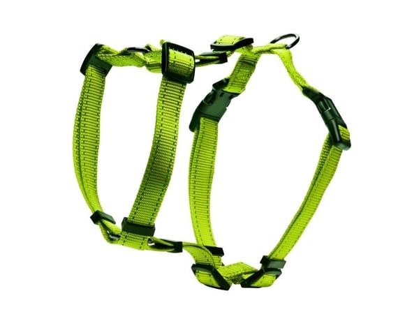 DOGMAN H-valjaat Iris vihreä 10mm