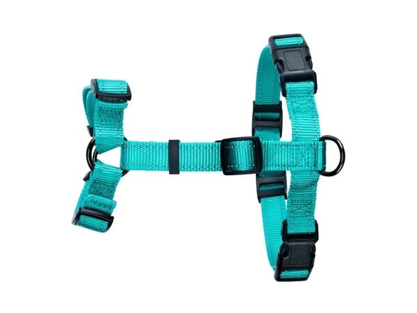 DOGMAN H-sele Iris turkis 10mm