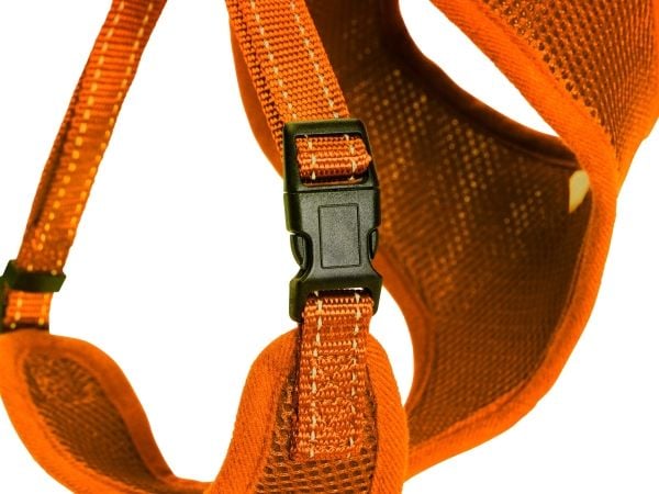 DOGMAN Meshsele Iris orange M
