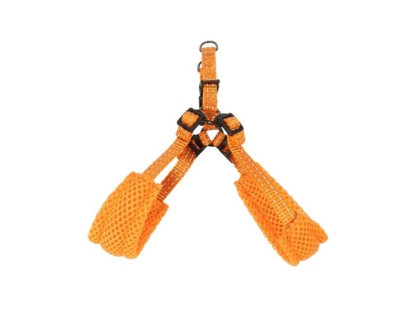 Dogman Step-in Hundsele Iris Orange