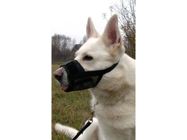 DOGMAN Snuteparti svart nylon L